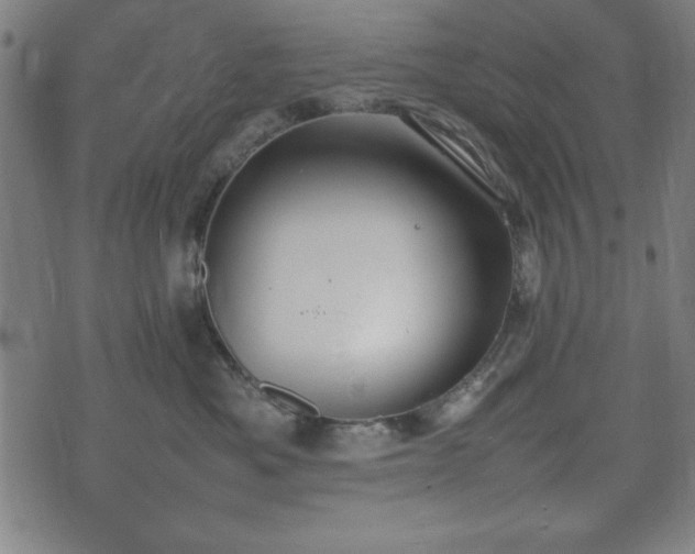 X0000074930525200609081329