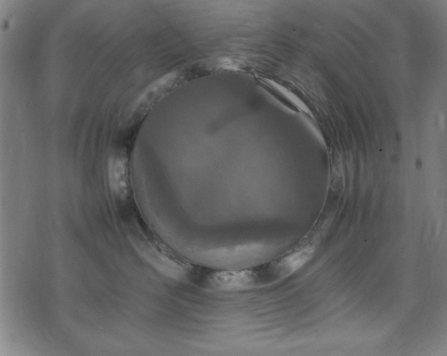 X0000074930526200609081329