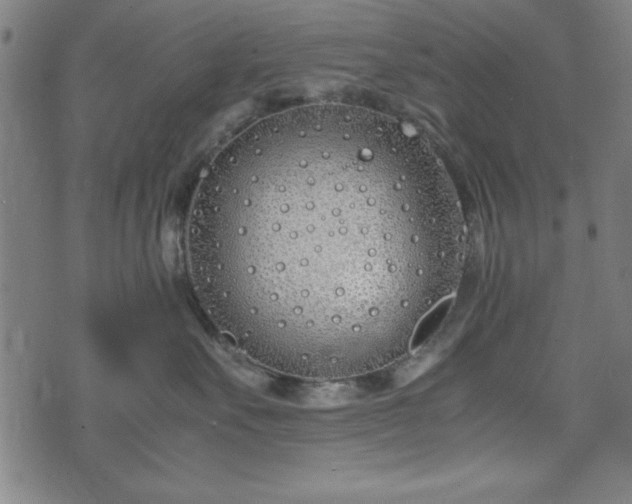 X0000074930527200609081329