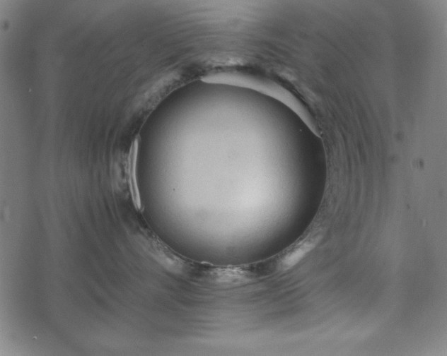 X0000074930528200609081329