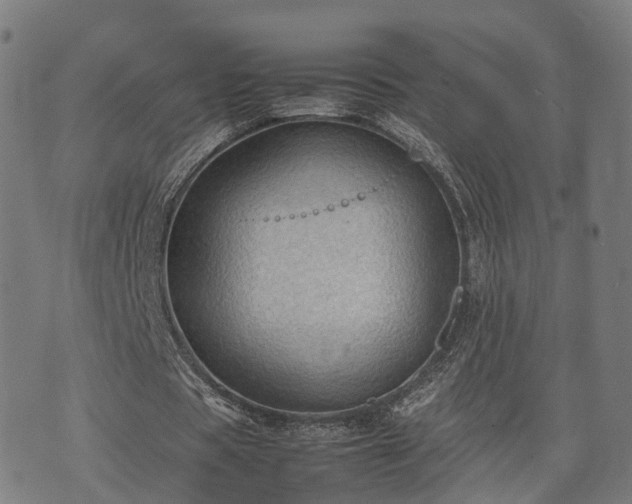 X0000074930529200609081328