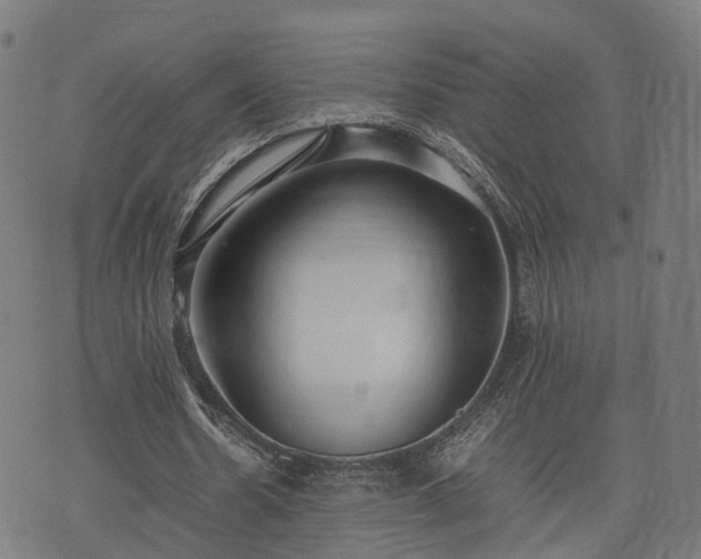 X0000074930530200609081328