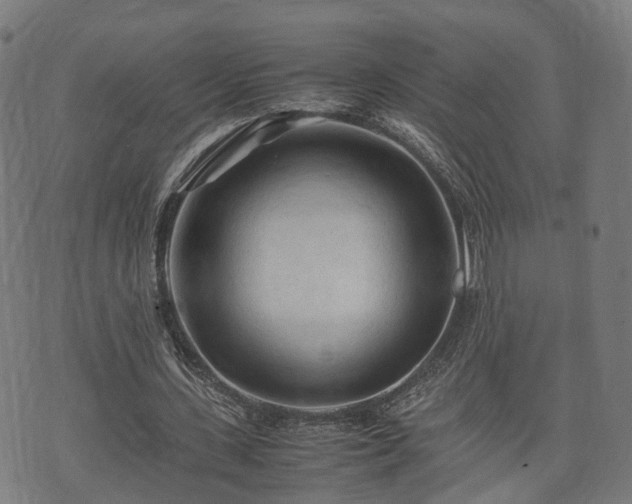 X0000074930531200609081328