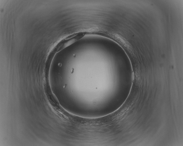 X0000074930532200609081328