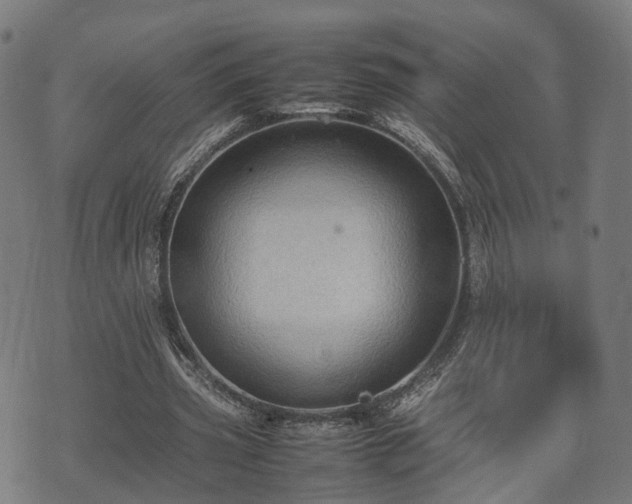 X0000074930533200609081328