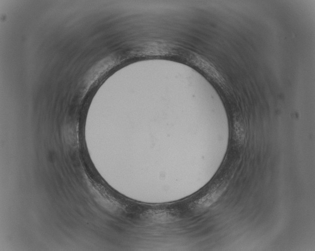 X0000074930534200609081328