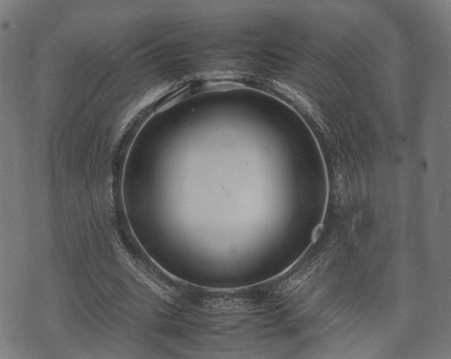 X0000074930535200609081328