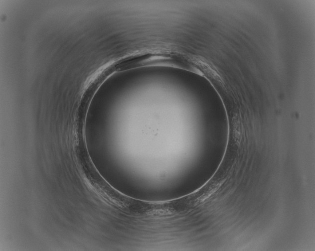 X0000074930536200609081328