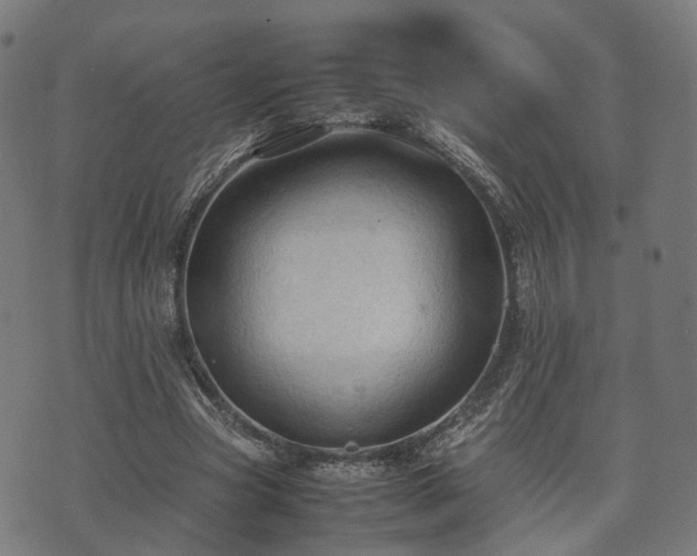 X0000074930537200609081328