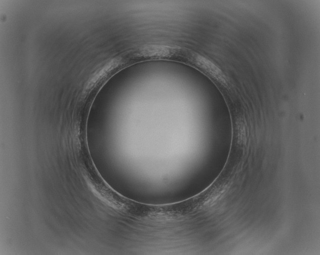 X0000074930538200609081328