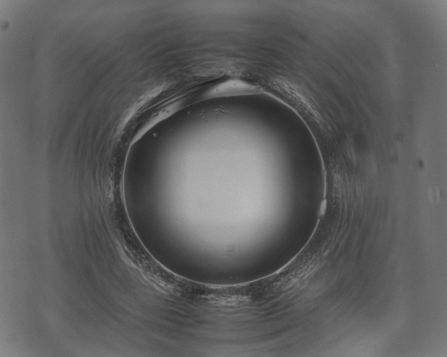 X0000074930539200609081328