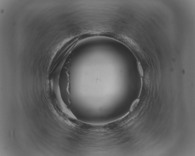 X0000074930540200609081328