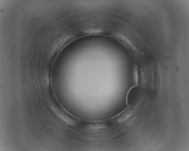 X0000074930541200609081328