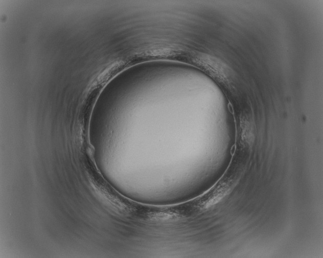 X0000074930542200609081328