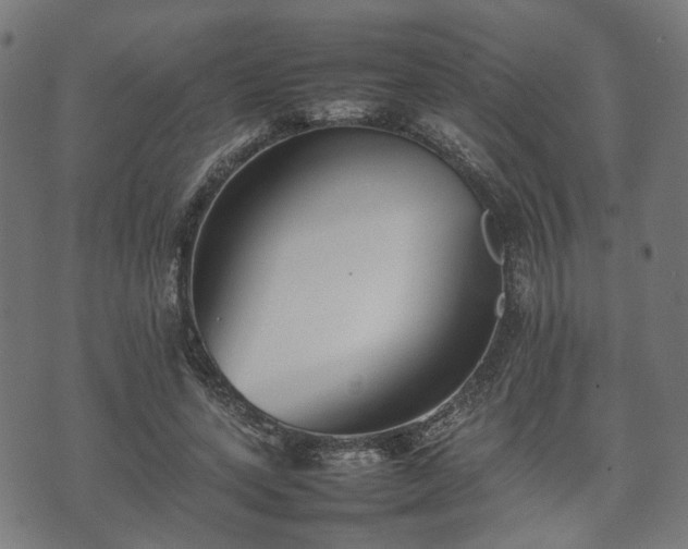 X0000074930543200609081328