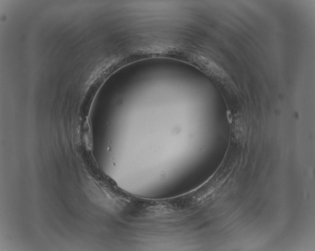 X0000074930544200609081328