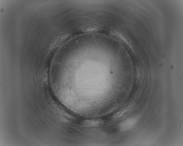 X0000074930545200609081328