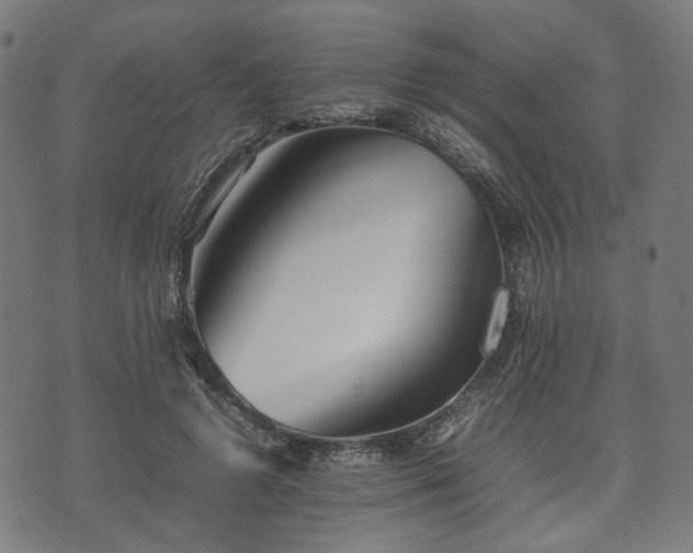 X0000074930546200609081328