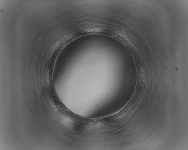 X0000074930547200609081328