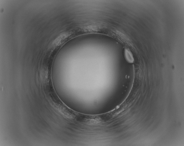 X0000074930548200609081328