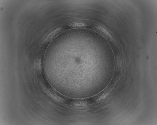 X0000074930549200609081328