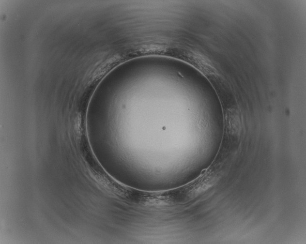 X0000074930550200609081328