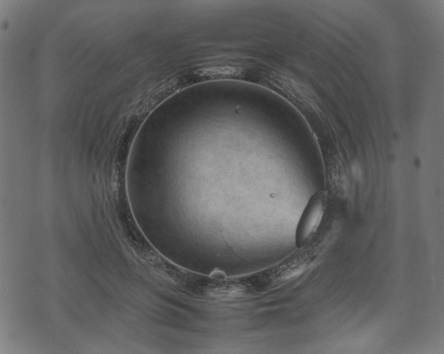 X0000074930551200609081328