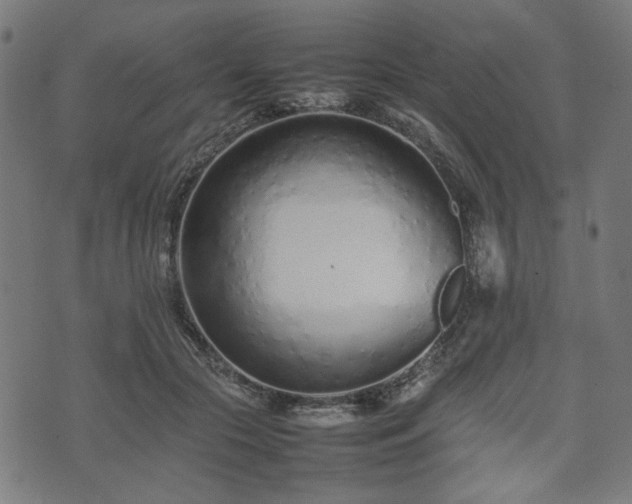 X0000074930553200609081328