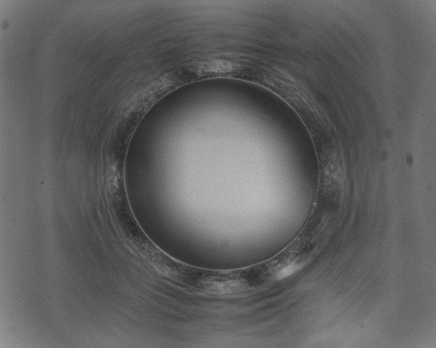 X0000074930555200609081328