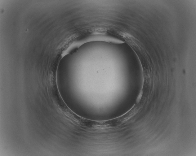 X0000074930556200609081328