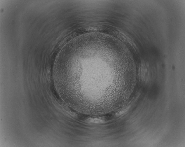 X0000074930557200609081328