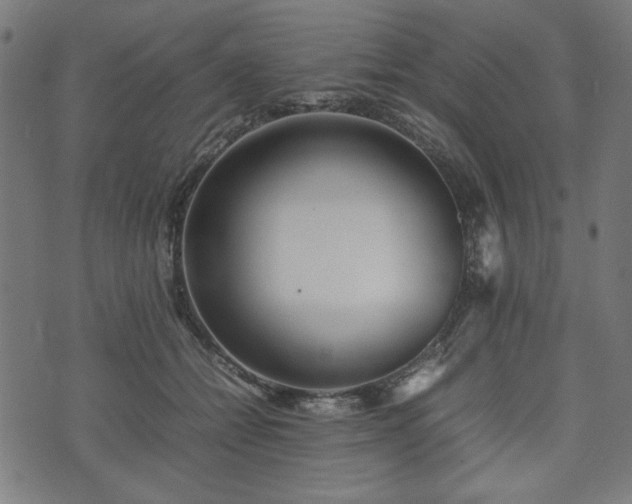 X0000074930558200609081328