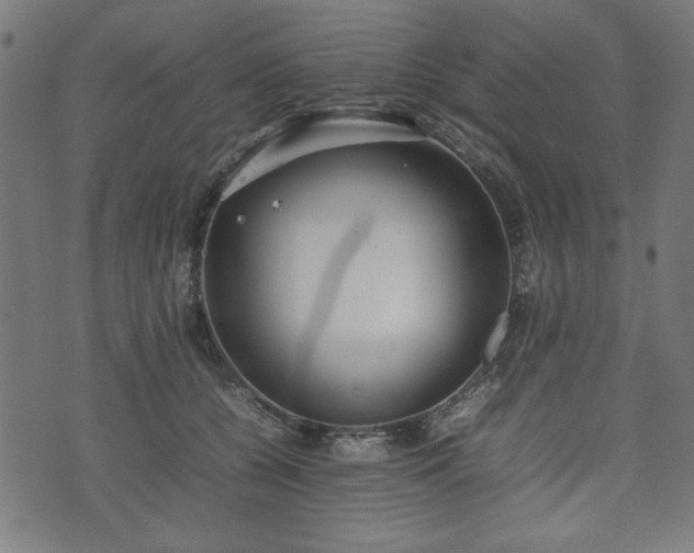 X0000074930560200609081328