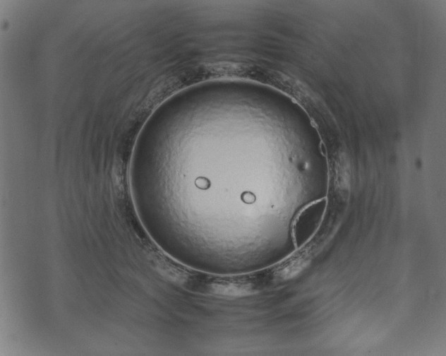 X0000074930561200609081328