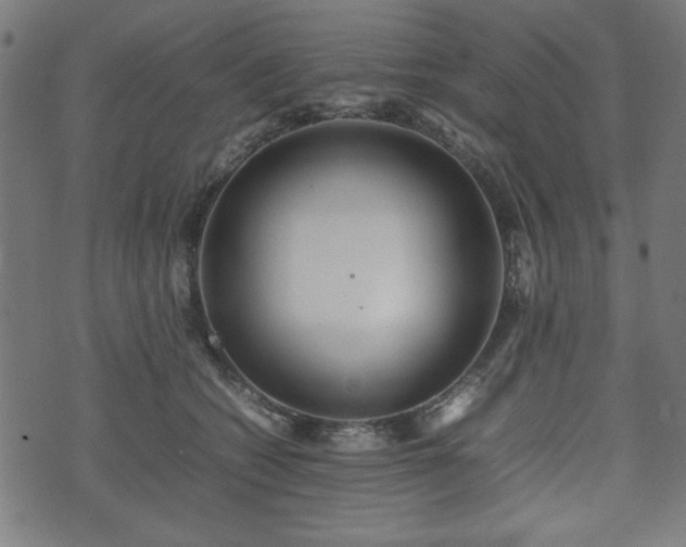 X0000074930562200609081328