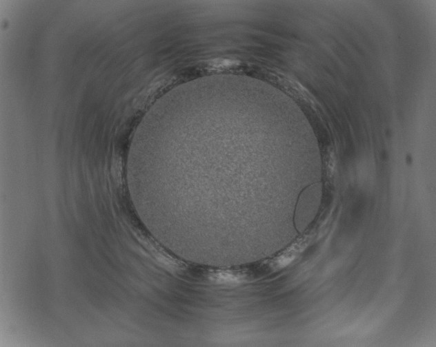 X0000074930565200609081329