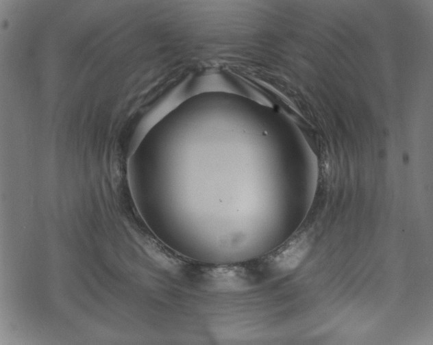 X0000074930566200609081329