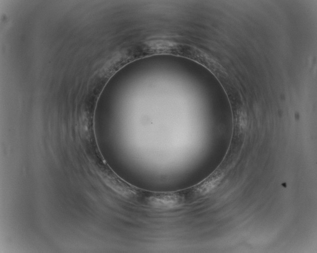 X0000074930567200609081329