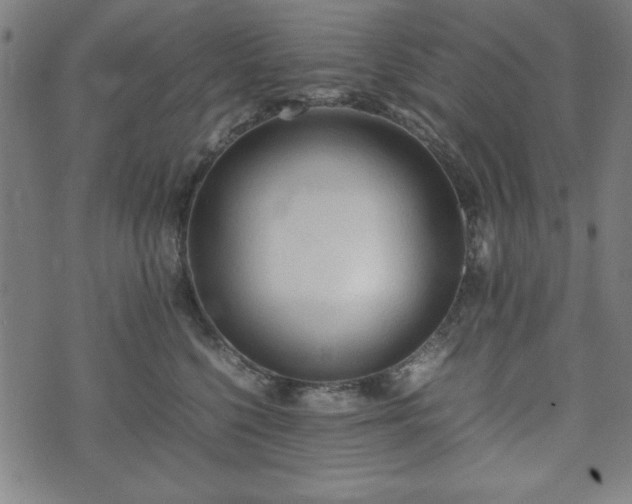 X0000074930568200609081329