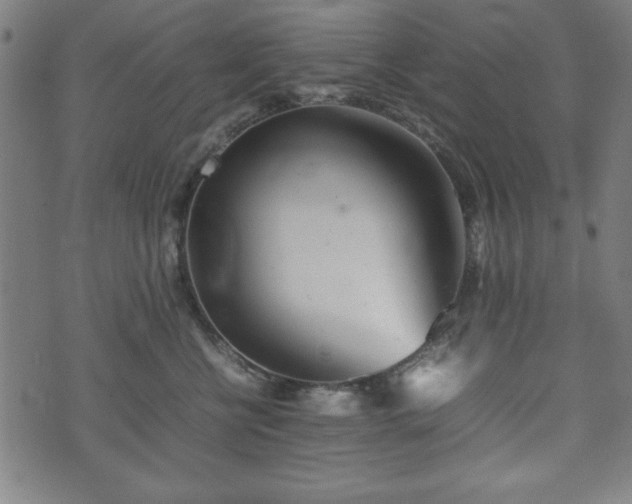 X0000074930570200609081329