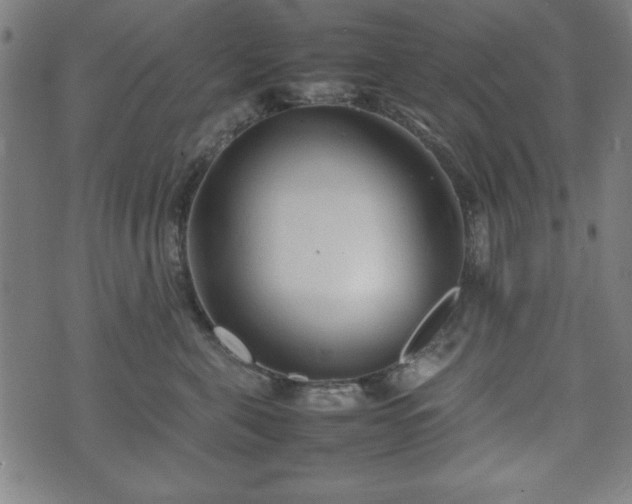 X0000074930571200609081329