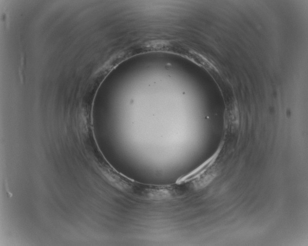 X0000074930572200609081329