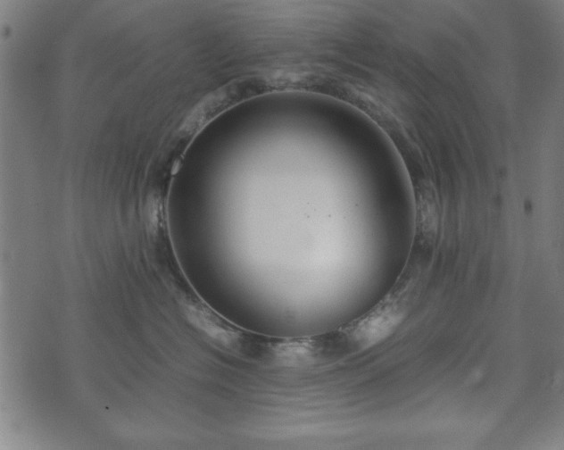 X0000074930574200609081329