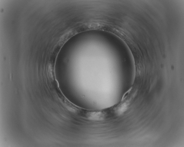 X0000074930575200609081329