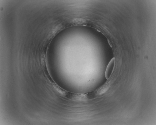 X0000074930576200609081329