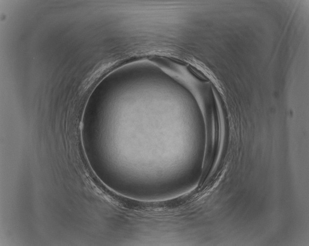 X0000074930577200609081328