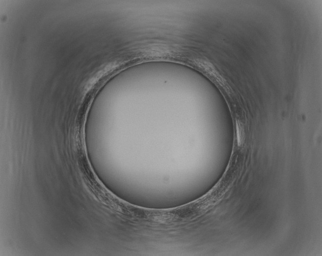 X0000074930579200609081328