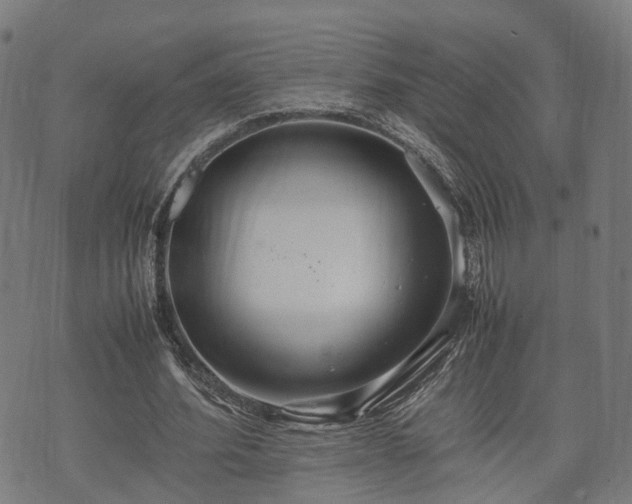 X0000074930580200609081328