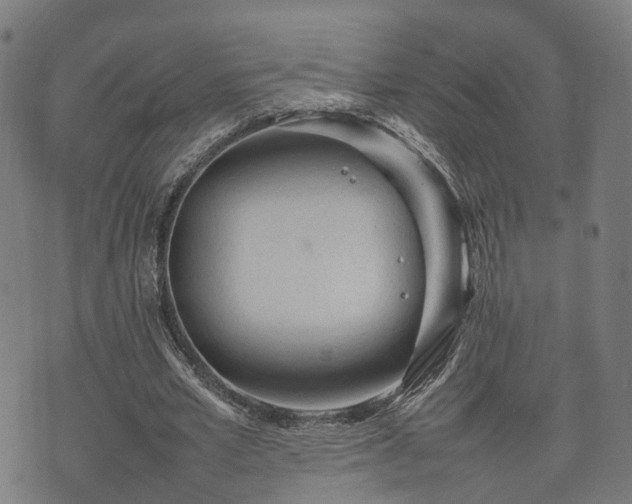 X0000074930581200609081328