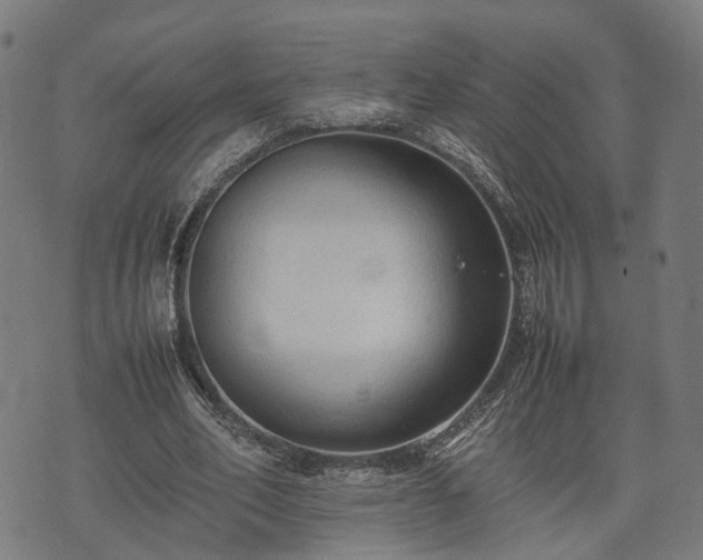 X0000074930582200609081328